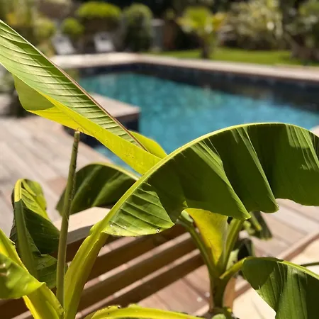 Eve Bord De Piscine Roof *